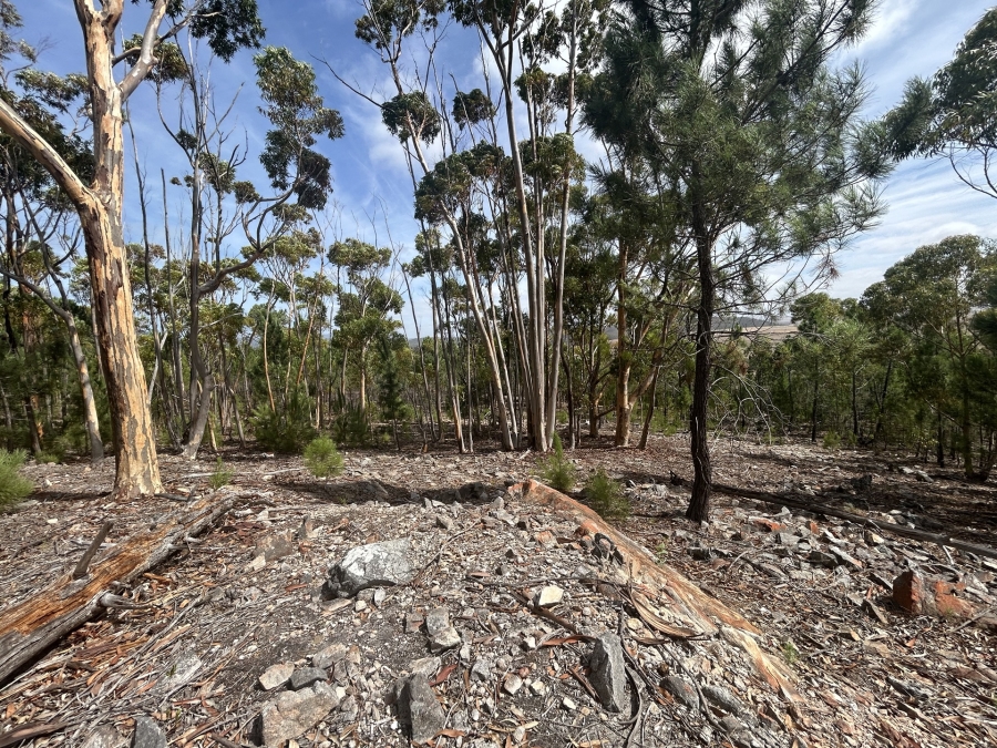 0 Bedroom Property for Sale in Napier Western Cape